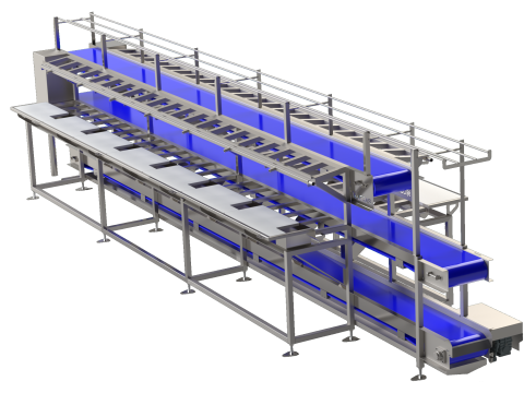 Fish Filleting Table with Triple Conveyor Belts