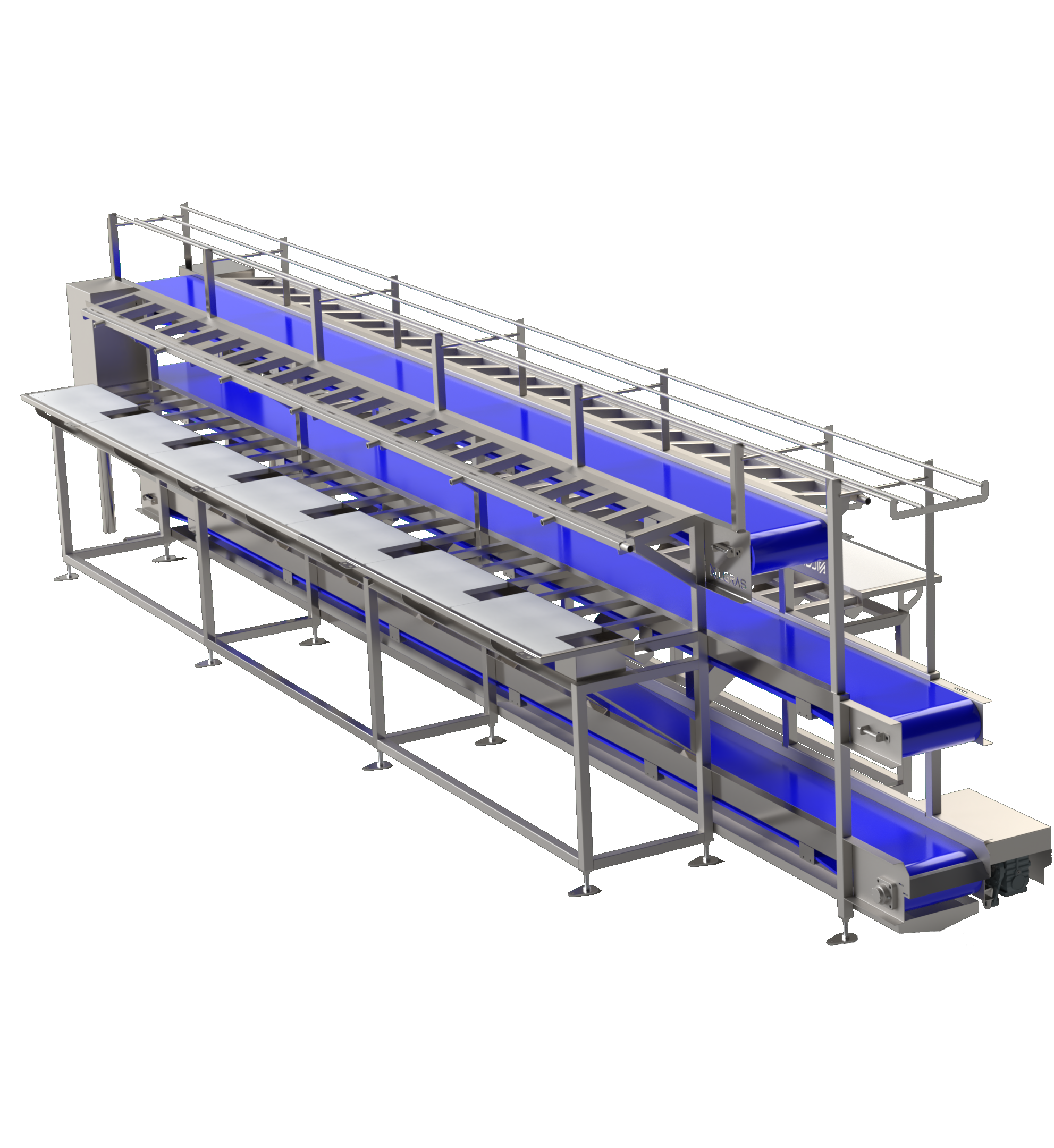 Fish Filleting Table with Triple Conveyor Belts